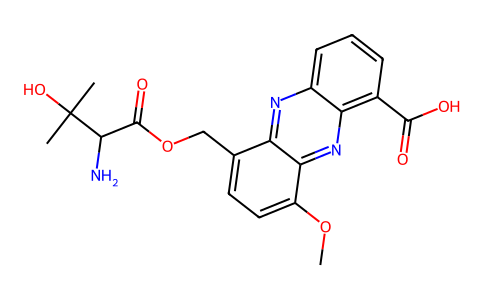 Pelagiomicin A 173485-80-8
